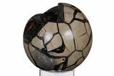 Polished, Septarian Geode Sphere - Madagascar #219109-2